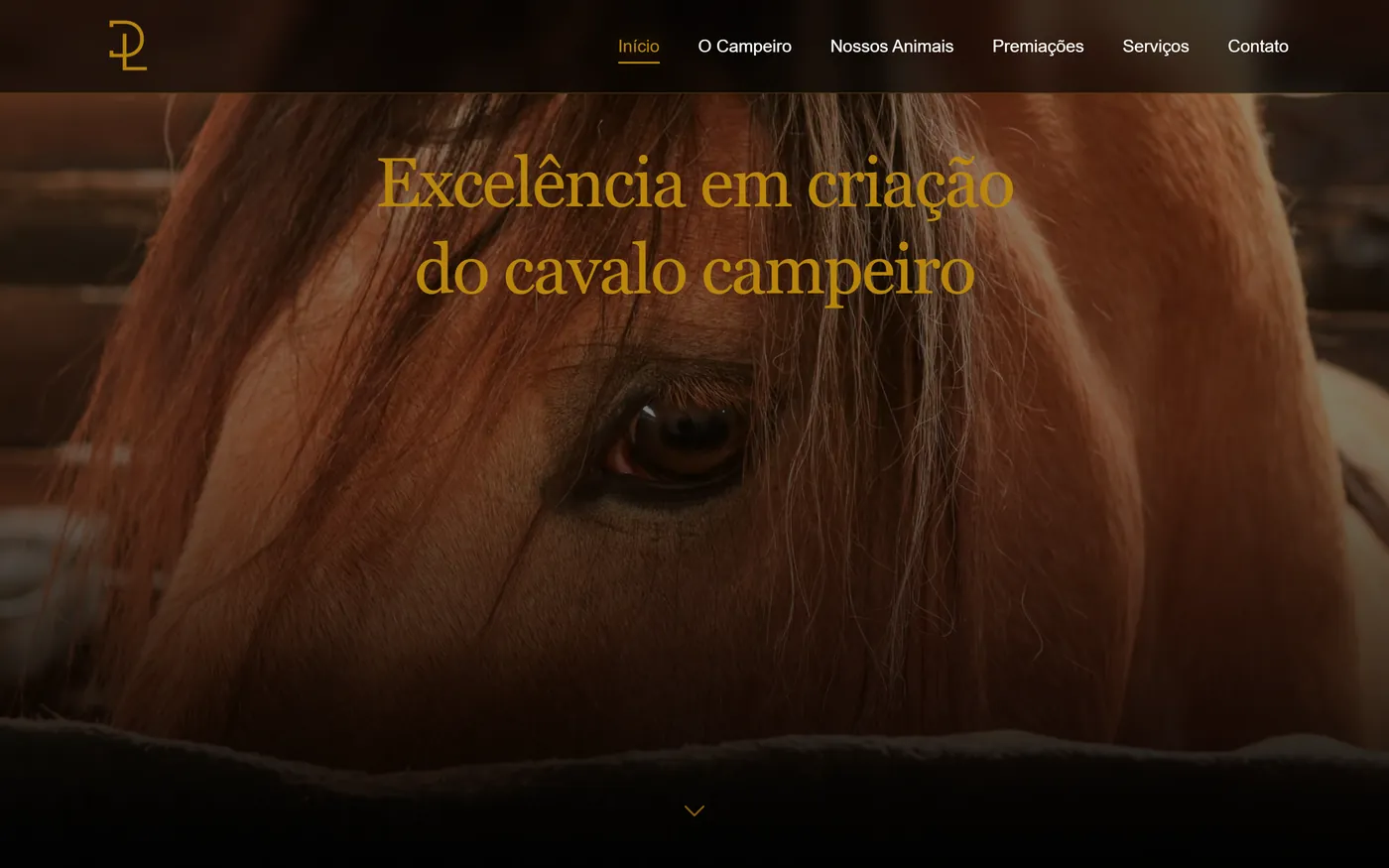 Site do Galpão da Lida